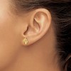 Black Bow Jewelry Kids Horse Head Screw Back Post Earrings in 14k Yellow Gold - 3 of 4