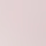 bone/blush/lieutenant