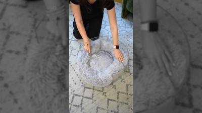 Light Gray Clear Acrylic Elevated Plush Pet Bed for Large Breeds