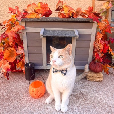 Insulated Gray Wooden Outdoor Cat House with Thermal Liner