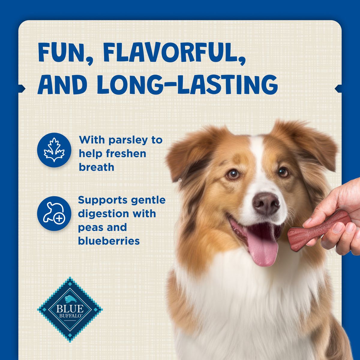 Blue Buffalo Dental Bones Large Natural Chew Dog Treats - thumbnail 3