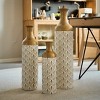 GDFStudio Hani Glam 3 Piece Metal Decorative Vases - 2 of 4