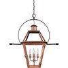 Rue De Royal Outdoor Hanging Lantern - 4 of 4