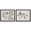 Plum & Post Berry Branch Botanical Study, Set Of 6 - 4 of 4