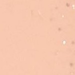 Shimmering Sand