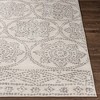 Livabliss Roma Woven Indoor Area Rugs - 3 of 4