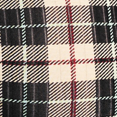 cozy bay plaid