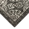 Liora Manne Carmel  Indoor/Outdoor Rug  Black.. - 4 of 4