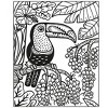 Usborne Birds, Magic Painting Book, 5 Years and Up, Paperback, 32 Pages by Sam Baer - 3 of 3