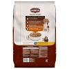 Nutrish Healthy Weight Turkey, Brown Rice & Venison Dry Dog Food - 13lbs - 2 of 4