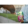 Standlee Hay Company Apple Berry Cookie Cubes Horse Treats - 2 of 2