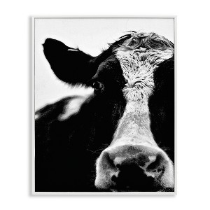 Stupell Industries Cow Face Portrait Framed Giclee Art, White, 11" x 14" - 1 of 4