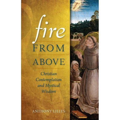  Fire from Above - by  Anthony Lilles (Paperback) 