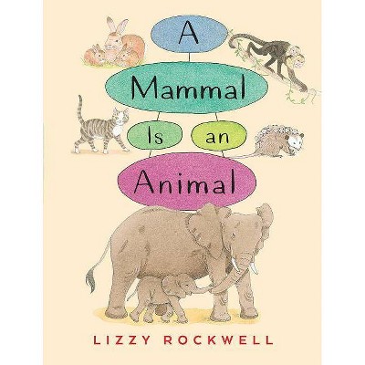 A Mammal Is an Animal - by  Lizzy Rockwell (Hardcover)