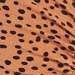 mocha leo dot