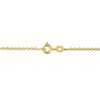 EVERLY JEWELRY | Silver Rolo Chain Necklace– Multiple Metal color Options - 2 of 4