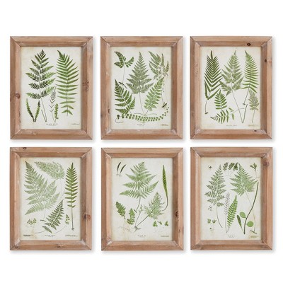 Plum & Post Assorted Frond Study Petite, Set Of 6