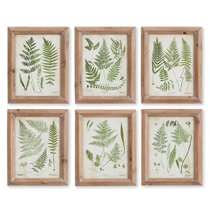 Plum & Post Assorted Frond Study Petite, Set Of 6 - 1 of 3