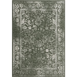 Adirondack ADR109 Non-Shedding Power Loomed Indoor Rug - Safavieh - 1 of 4