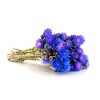 16" Artificial Dried Cape Blumen Bouquet Blue - National Tree Company - 4 of 4