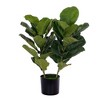 Vickerman Green Fiddle Leaf in Woven Basket - 2 of 4