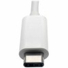Tripp Lite USB-C to DVI Adapter w/ USB-A Hub, USB-C PD Charging, Ethernet - U44406NDGUC - 2 of 3