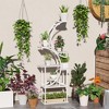 Aghana Digitals 8-Tier S-Shaped Indoor Plant Stand, 62" Corner Shelf for Multiple Plants & Decor, - 2 of 4