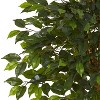 HomeStock  6.5 ft. Artificial Ficus Tree in Pot for Indoor/Outdoor - 2 of 4