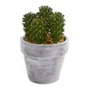 Nearly Natural 8" x 3.5" 3pc Artificial Cactus Plant Set: Indoor Faux Succulent Decor, Styrofoam Filler, Plastic Pot - 4 of 4