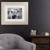Trademark Fine Art - Nathan Larson Highland Cow Staring Contest Crop Matted Framed Art - 2 of 4