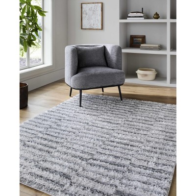 Hauteloom Anevay Dark Gray Area Rug