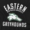 Men's Eastern New Mexico University Large T-Shirt - 2 of 4