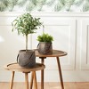Natural Wooden Pail Planter with Metal Handle Accent (Set of 2) - 2 of 4