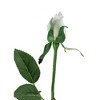 Allstate Floral 22.5" White Single Budding Artificial Spring Rose Pick - 2 of 3