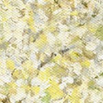 farmhouse gray