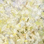 farmhouse gray