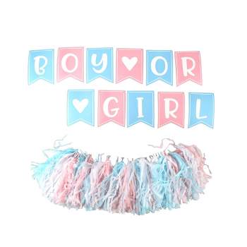 8.5" x 6" Gender Reveal Car or Virtual Party Decorations and Accessories - Prinz