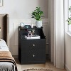 Karl Home 2-Drawer Black Particle Board 17.72in. W Nightstands - 4 of 4