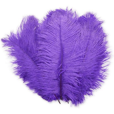 Bright Creations 14 Pack Purple Ostrich Feather Plumes 10 12 Inches for Crafts, Home, Wedding & Party Decorations