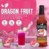Syruvia Dragon Fruit Syrup - 25.4 fl oz. Premium Flavoring Syrup For Coffee - 2 of 4