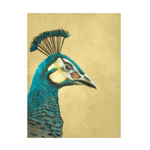 Trademark Fine Art - Katie O'Shea  Peacock Profile II Canvas Art - 1 of 4