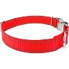 Country Brook Petz Premium Reflective Nylon Dog Collar - 3 of 4