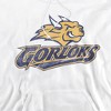 Webster University Official Distressed Primary Logo Adult Pull-Over Hoodie - 2 of 4