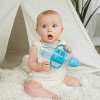 Dr. Brown's 2pk Sippy Straw Baby Bottle with Handles - 8oz  - 4 of 4