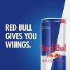 Red Bull Energy Drink - 4pk/12 fl oz Cans - 4 of 4