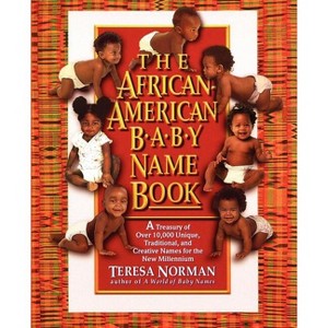 The African-American Baby Name Book - by  Teresa Norman (Paperback) - 1 of 1