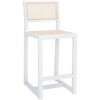 Seika Rattan Counter Stool - BST9502 - Safavieh - 4 of 4