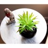 Silver Buffalo Harry Potter Hogwarts Cauldron 8.25 x 4.5 x 4.5 Inch Ceramic Planter w/ Artificial Plant - 4 of 4
