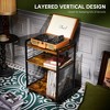 HDZNVF 3-Tier Audio Rack Record Player Stand - 2 of 4