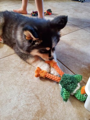 Guest review image 1 of 2, zoom in